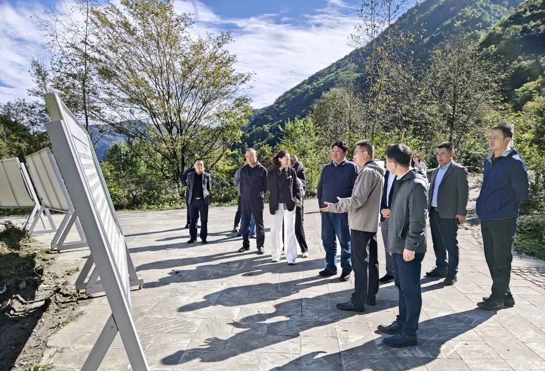 1728560302218122.jpg 11.jpg